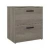 Kathy Ireland® Home By Bush Furniture City Park 2-Drawer Lateral File Cabinet, Letter/Legal, Driftwood Gray (CPF127DG-03)