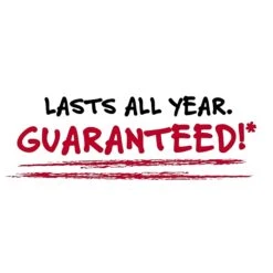 Mead Five Star 3-Subject Notebook, 8.5" X 11", College Ruled, 150 Sheets, Assorted Colors (06050/06210) -Office Supply Shop 40AB83EA 251D 4D20 8DC23590C5BD5927 sc7