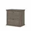 Bush Furniture Yorktown 2-Drawer Lateral File Cabinet, Not Assembled, Letter/Legal, Restored Gray, 30.98" (WC40680-03)