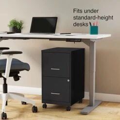 Staples 2-Drawer Light Duty Vertical File Cabinet, Locking, Letter, Black, 18"D (52145) -Office Supply Shop s1212857 sc7