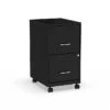 Staples 2-Drawer Light Duty Vertical File Cabinet, Locking, Letter, Black, 18"D (52145)