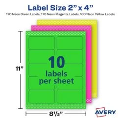 Avery(R) High Visibility Shipping Labels, 2" X 4", Neon Assorted, 500/Pack (5956) -Office Supply Shop sp132595300 sc7