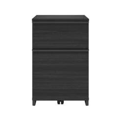 Thomasville Furniture Latimer 2-Drawer Vertical File Cabinet, Pedestal, Burnt Ash, 20.8"D (SPLS-LADF-TV)