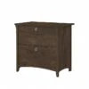 Bush Furniture Salinas 2-Drawer Lateral File Cabinet, Letter/Legal, Ash Brown, 31.73" (SAF132ABR-03)