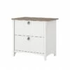 Bush Furniture Salinas 2-Drawer Lateral File Cabinet, Letter/Legal, Shiplap Gray/Pure White, 31.73" (SAF132G2W-03)