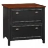 Bush Furniture Fairview 2 Drawer Lateral File Cabinet, Antique Black And Hansen Cherry (WC53984T)