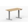 LifeFlo Ergonomics Height Adjustable Desk, 48" W X 24" D X 1 1/8" Thick, Maple (LFO-4824-E2-MA)
