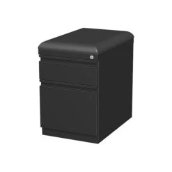 Staples 2-Drawer Vertical File Cabinet, Locking, Letter/Legal, Black, 19.88"D (25174D)