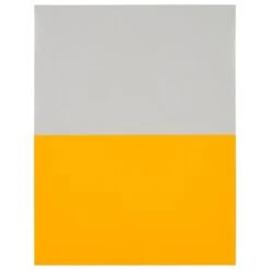 JAM Paper Shipping Labels, Half Page, 5 1/2" X 8 1/2", Neon Orange, 50/Pack (359429628) -Office Supply Shop sp96370376 sc7